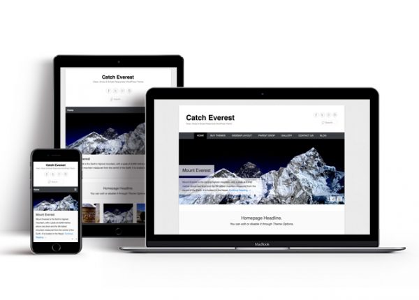 Catch Everest